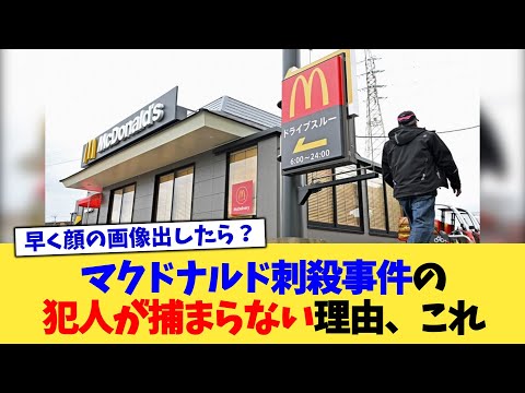 マクドナルド刺殺事件の犯人が捕まらない理由、これ【2chまとめ】【2chスレ】【5chスレ】